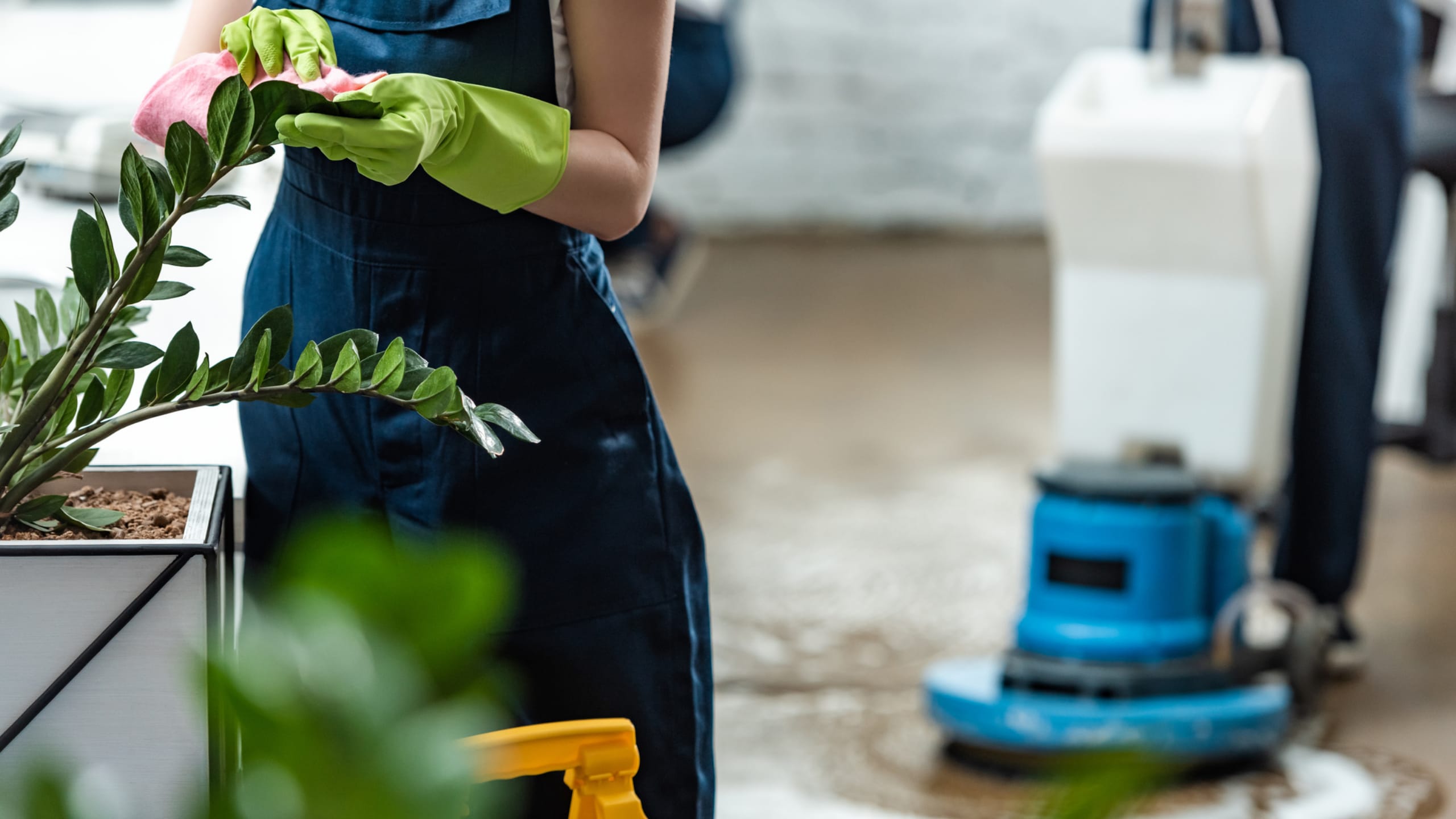 How to Streamline Your Cleaning Process with Commercial Cleaning Solutions