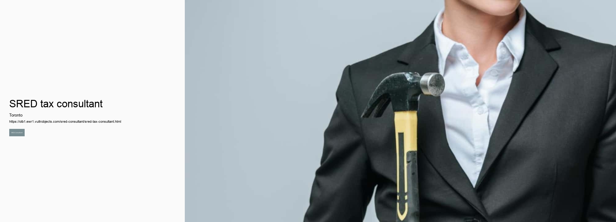 SRED tax consultant